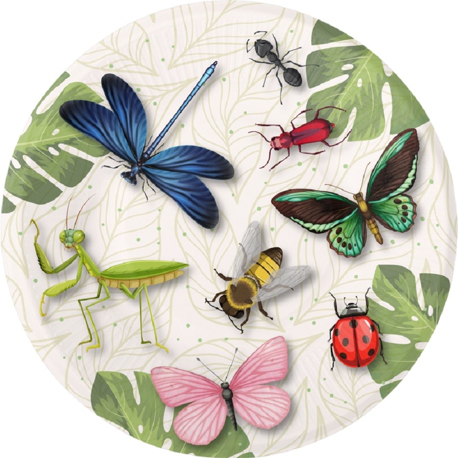 Set 8 farfurii cu Insecte colorate, 23 cm