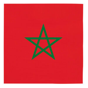 Set 20 servetele Steag Maroc, 33 cm