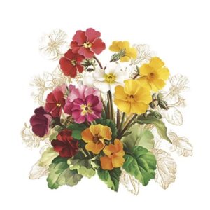 Set 20 servetele buchet Primula, Vintage Flower