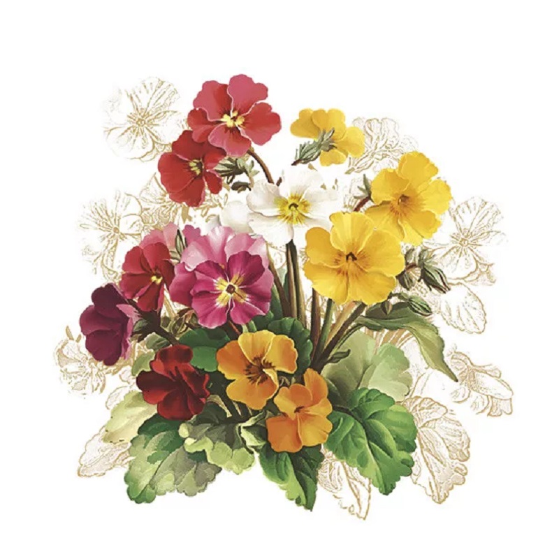 Set 20 servetele buchet Primula, Vintage Flower